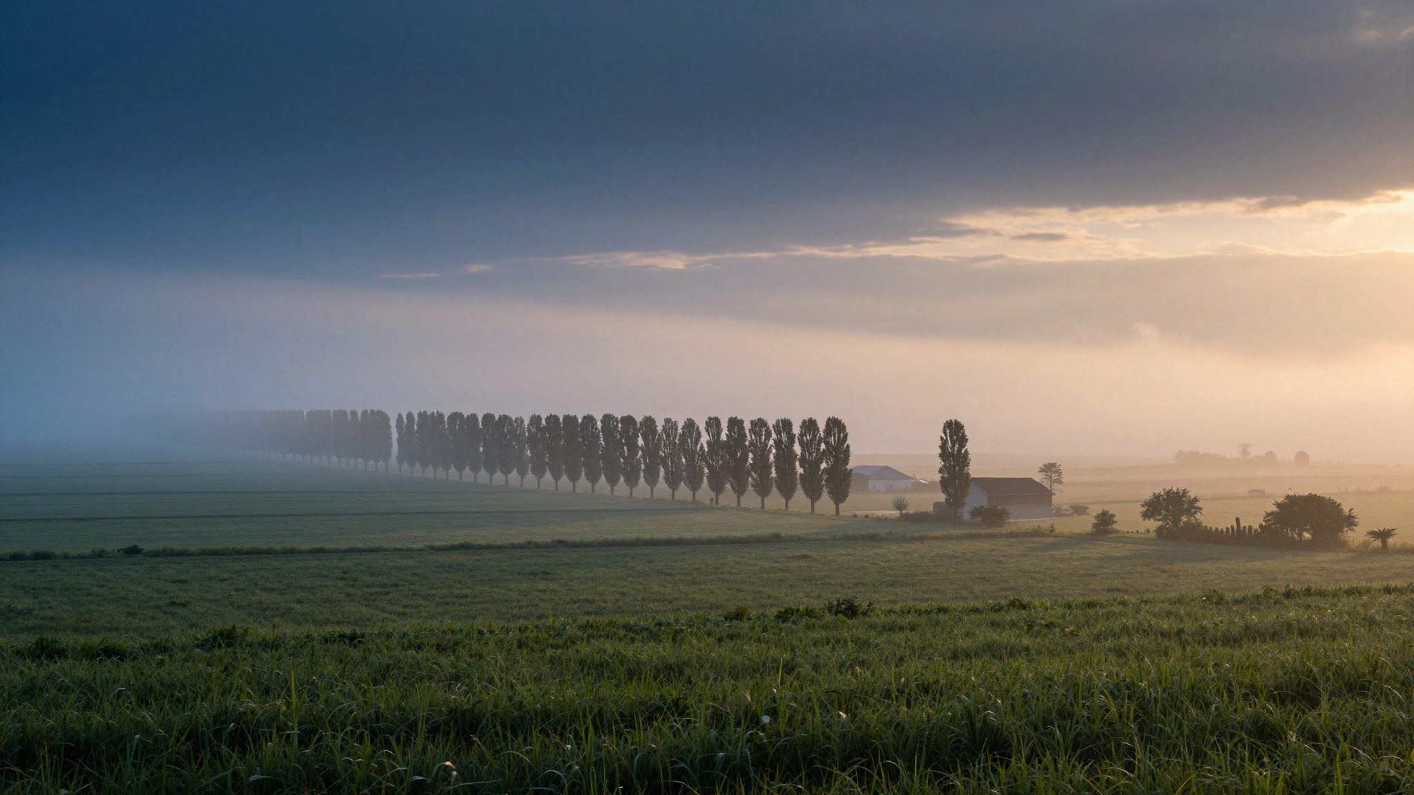 Meteo Emilia-Romagna oggi: nebbia e caldo, massime a 33°C